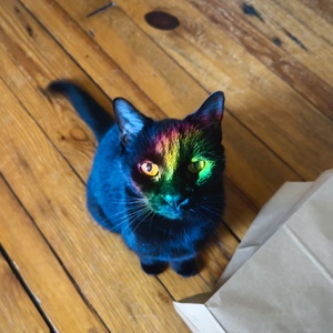 Fundraising Page: Chris Austin